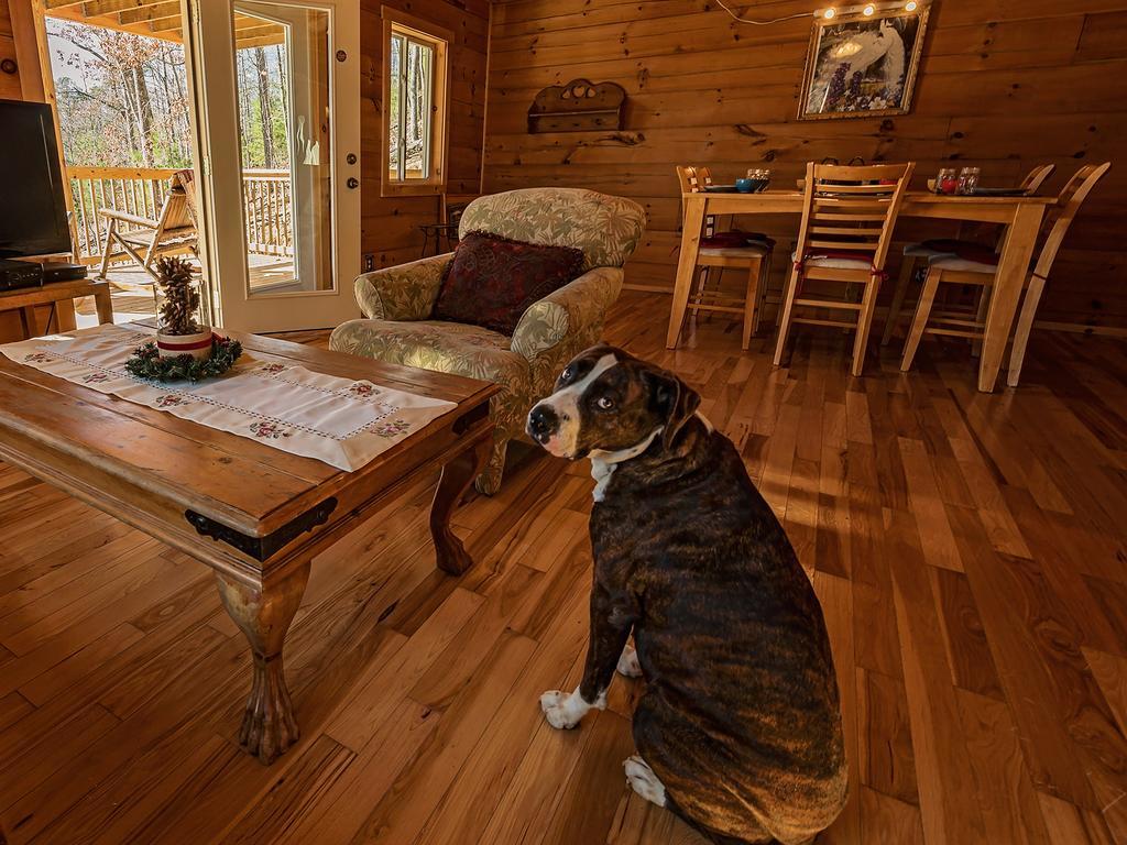 Hotel Log Cabin In Smoky Mountains Sevierville Exterior foto